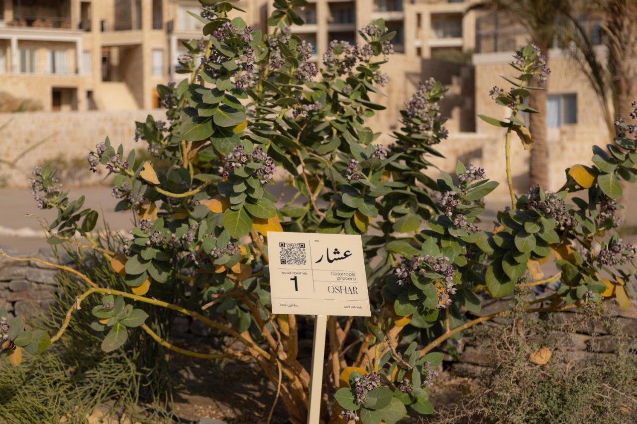 Wadi Sabarah Lodge Marsa Alam Luaran gambar